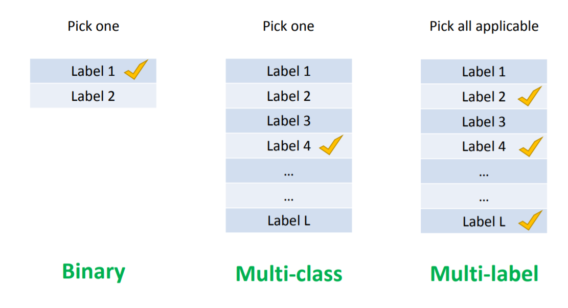 what is multi label image classification